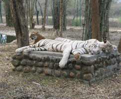 Udupi Tourism Honeymoon